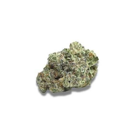 MAC 1 Strain