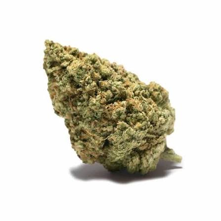 Monkey Glue Strain