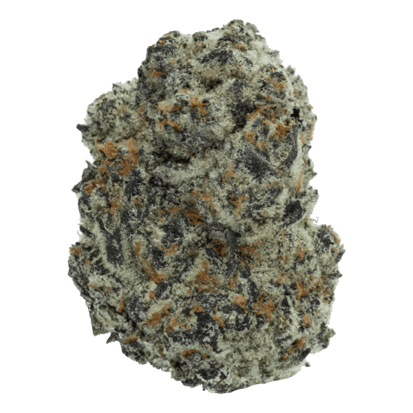 Oreoz Strain