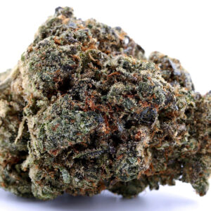 Blue Lobster Strain