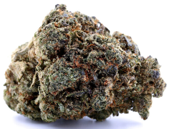 Blue Lobster Strain