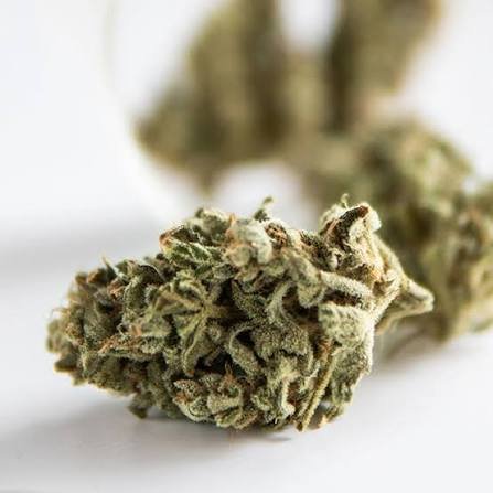 cali strains